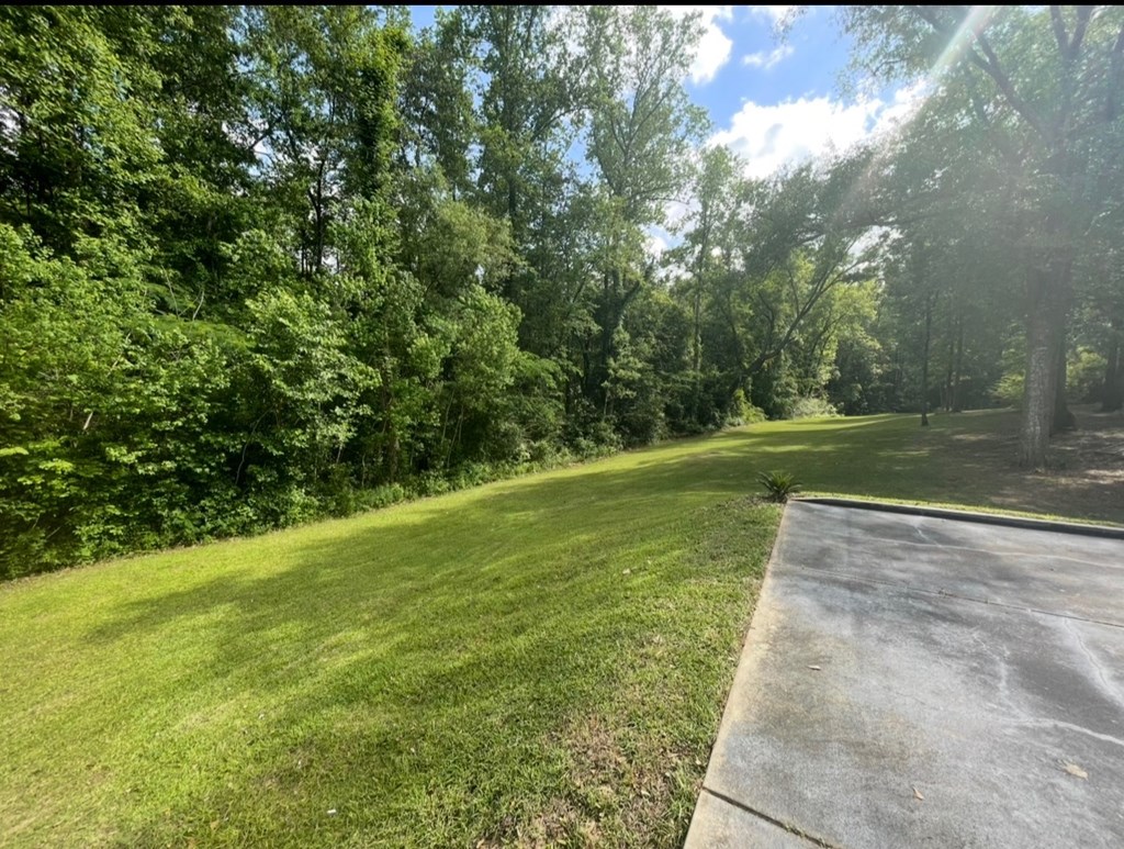 101 Foxrun Trail Dothan, AL 36303 - Photo 16 of 75