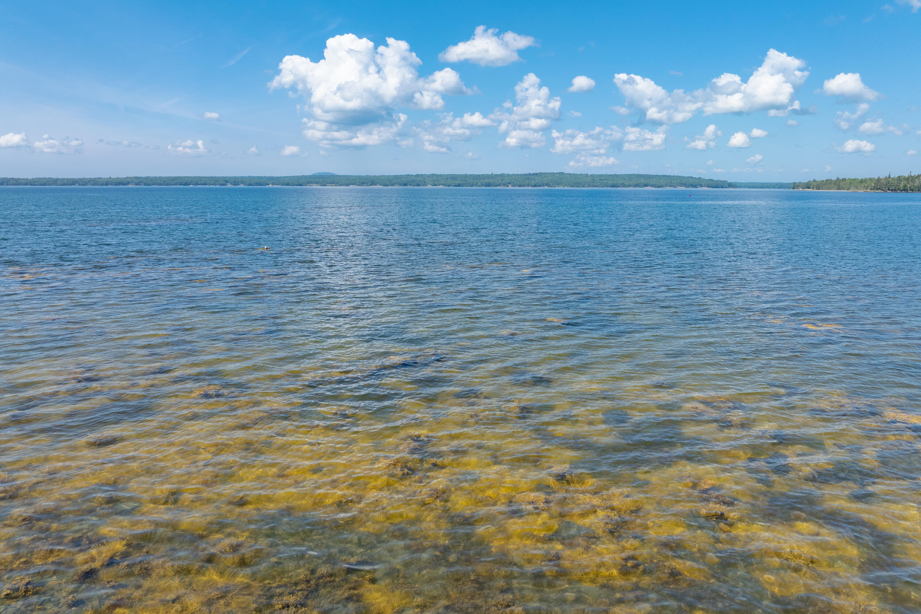 0 Bayside Road Spring Ellsworth, ME 04605 - Photo 7 of 7 07 Bayside Road