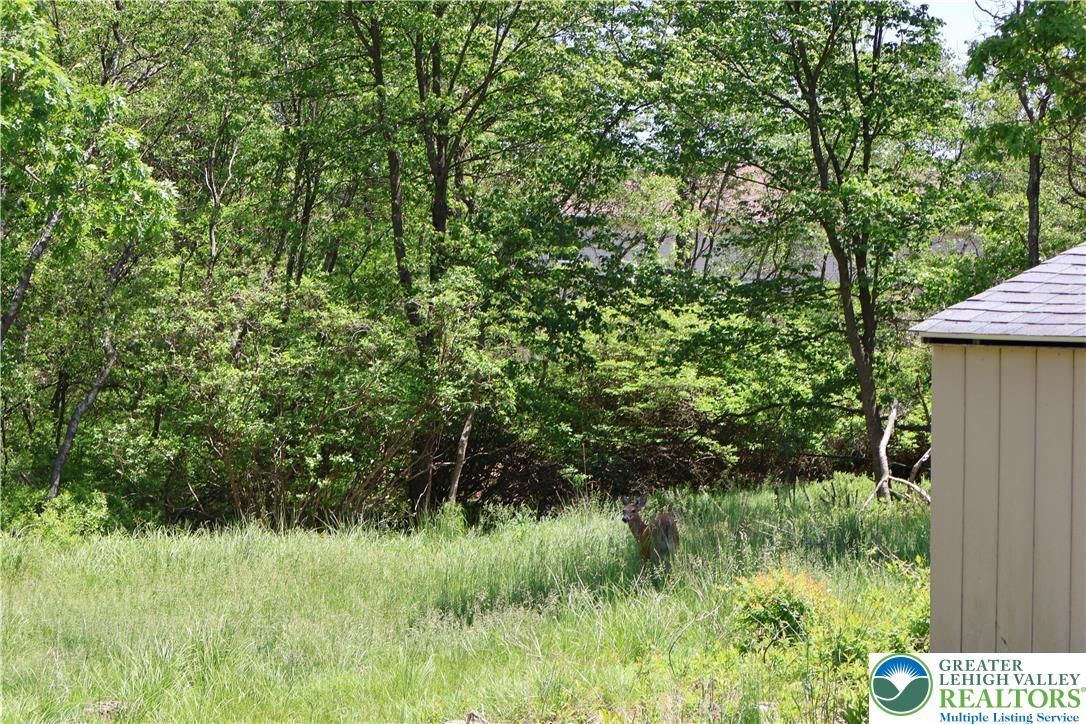 1646 Clover Road Long Pond, PA 18334 - Photo 19 of 20 a view of a garden