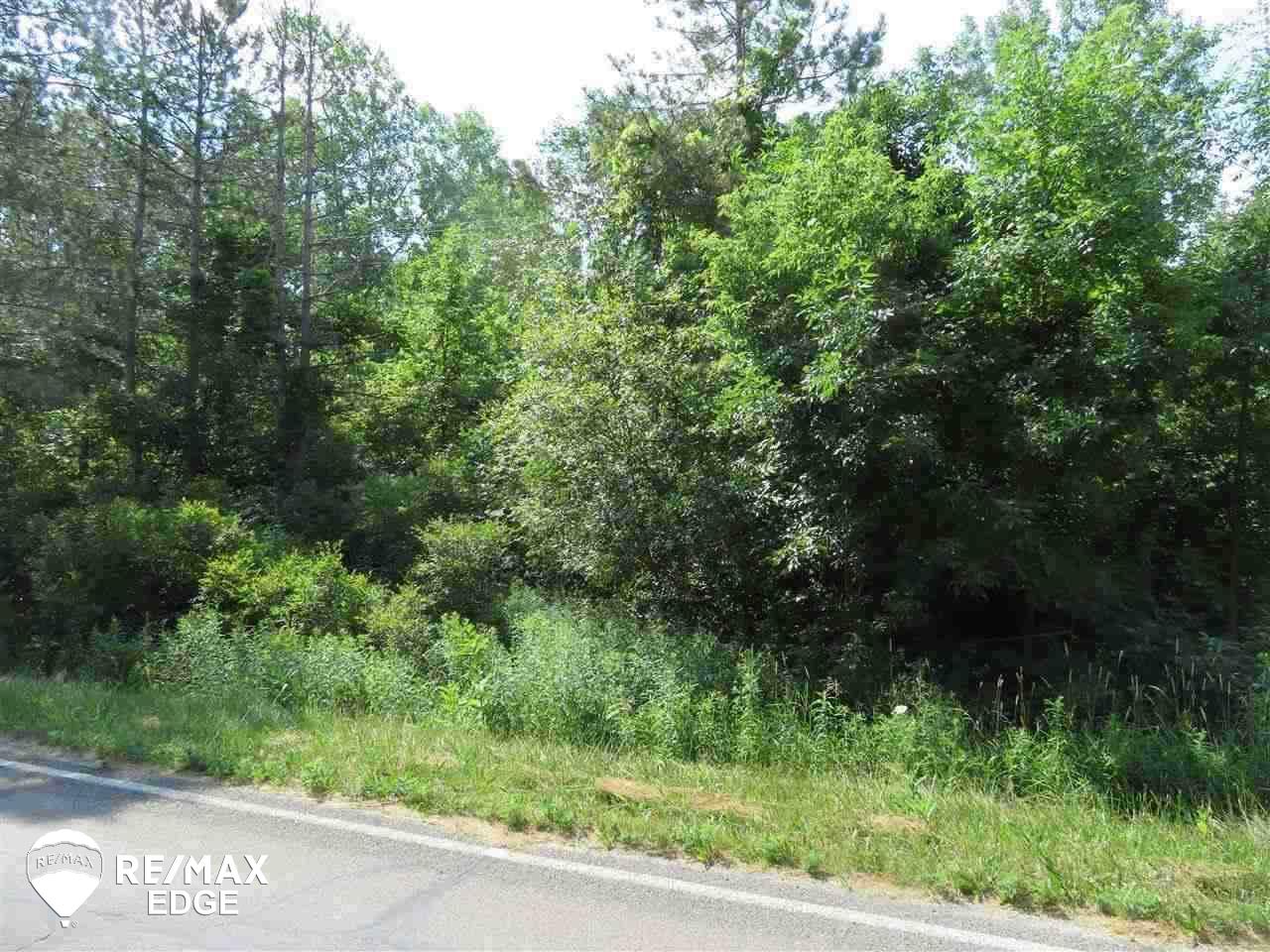 Parcel C East Wilson Road Otisville, MI 48463 - Photo 2 of 7