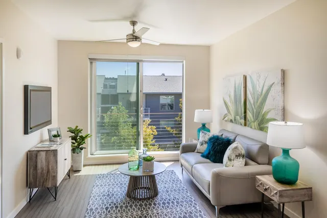 a living room with furniture lamp and a potted plant