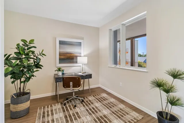 a living room with furniture and a potted plant