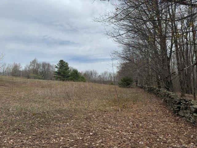 Lot 4 Shaver Hill Road Meridale, NY 13806 - Photo 7 of 45 Gallery Image 7
