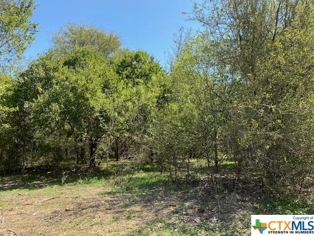 3791 Callihan Road Luling, TX 78648 - Photo 1 of 1 Gallery Image 1