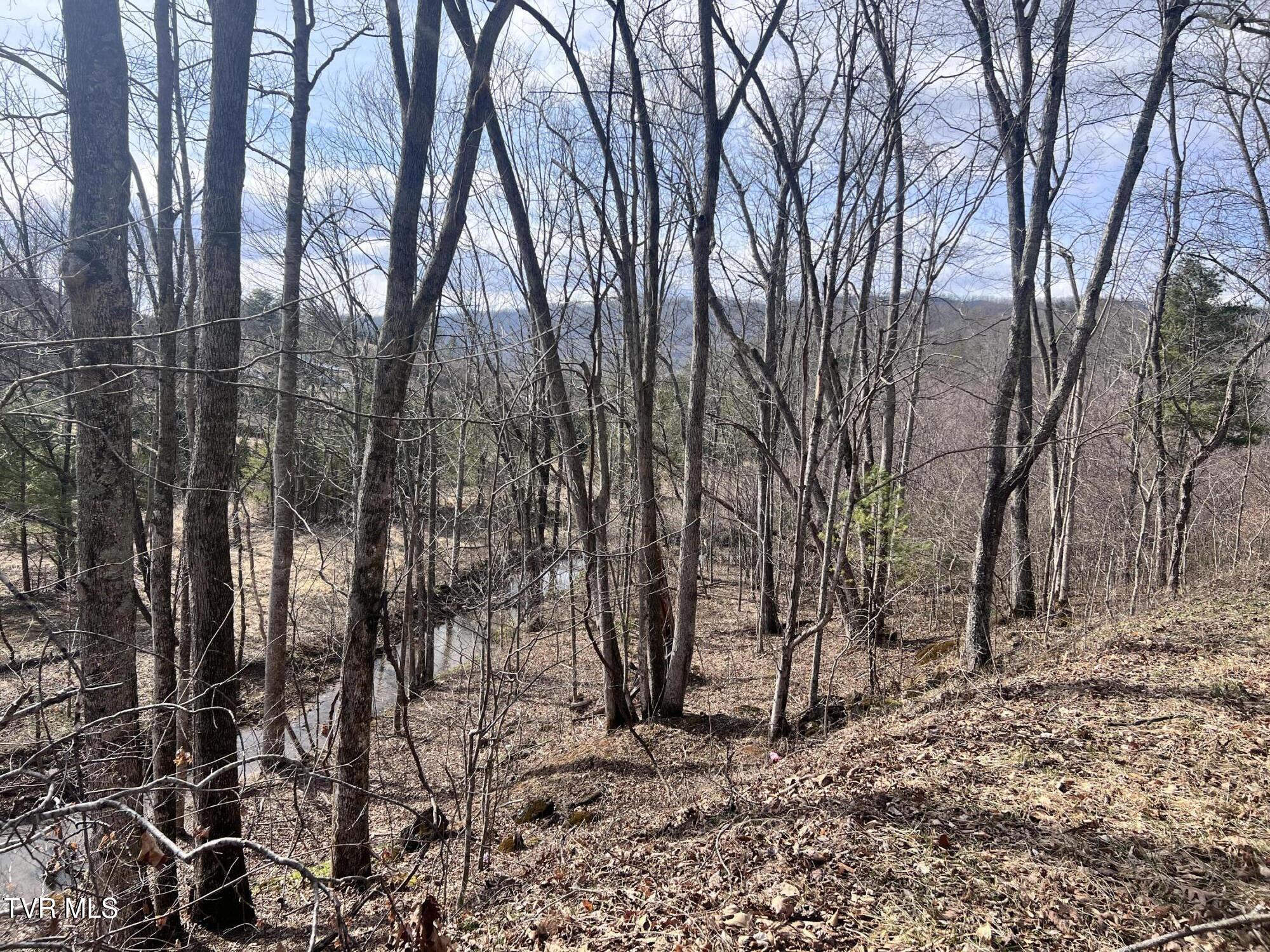 0 Mc Curry Road Unicoi, TN 37692 - Photo 11 of 15 IMG_2464
