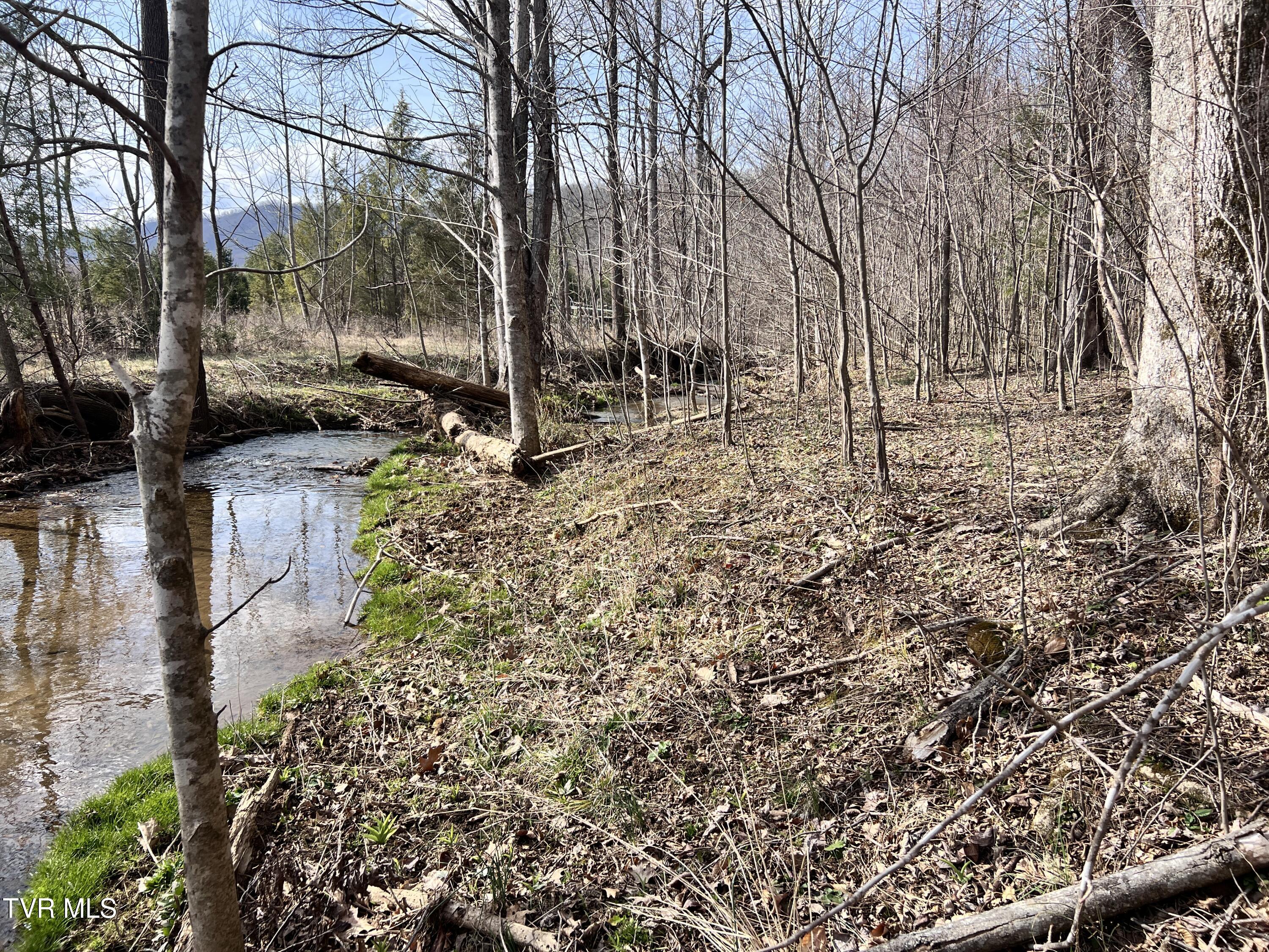 0 Mc Curry Road Unicoi, TN 37692 - Photo 15 of 15 IMG_2480