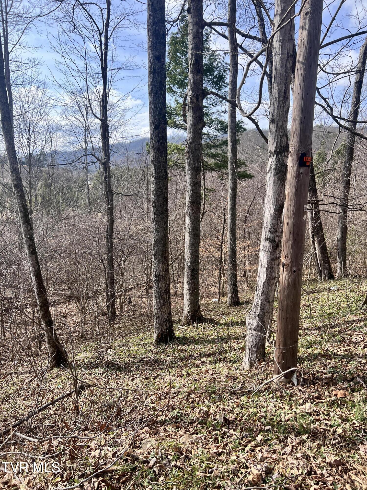 0 Mc Curry Road Unicoi, TN 37692 - Photo 3 of 15 IMG_2454