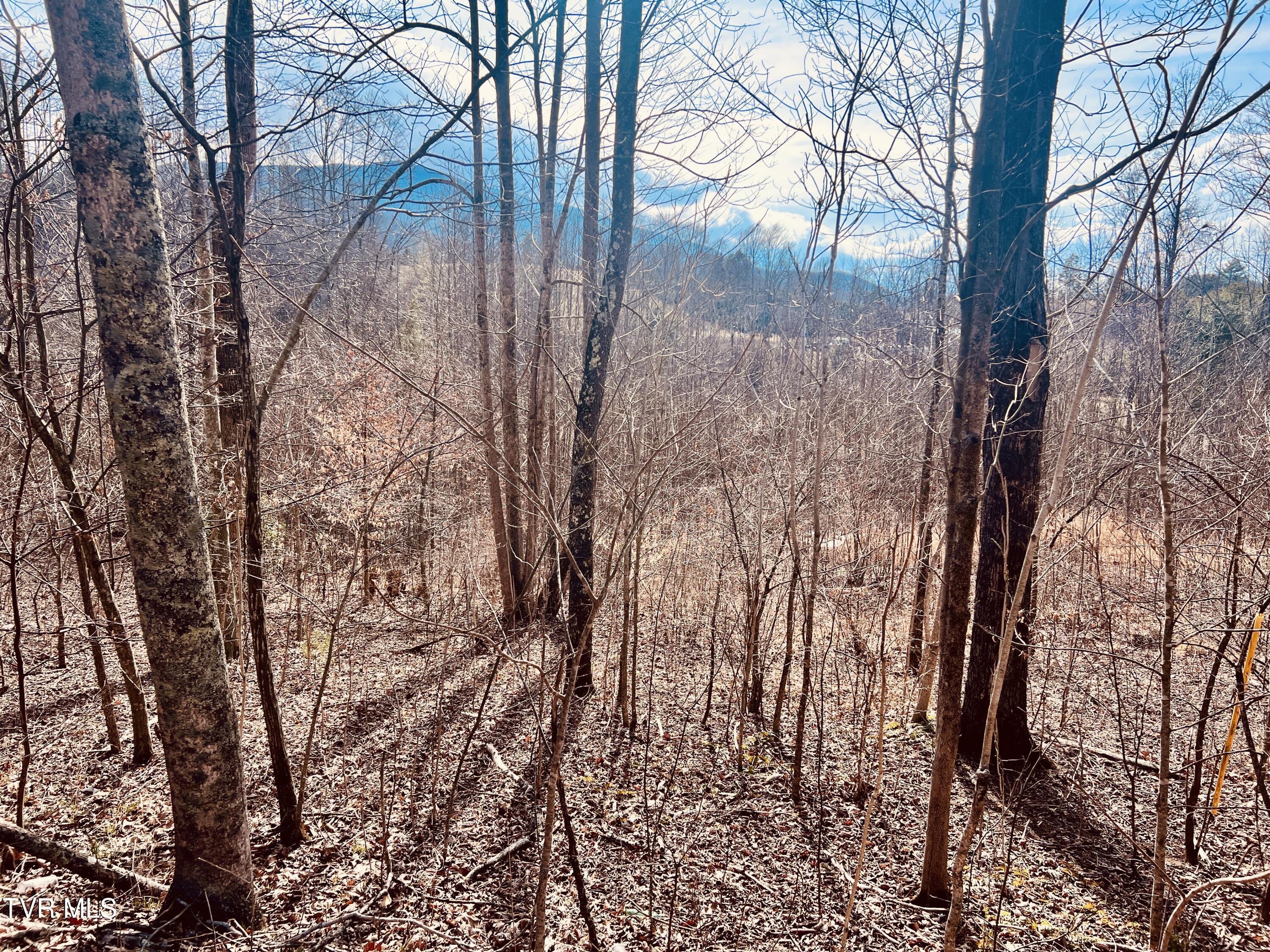 0 Mc Curry Road Unicoi, TN 37692 - Photo 4 of 15 IMG_2496