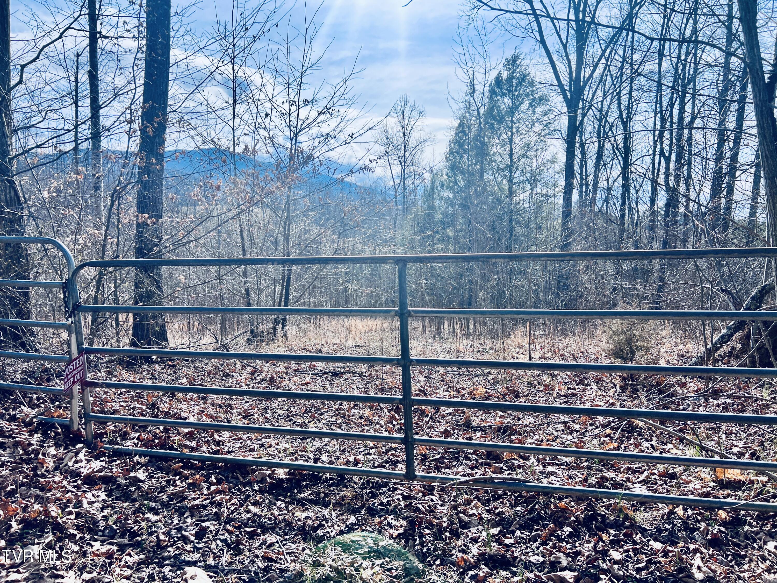 0 Mc Curry Road Unicoi, TN 37692 - Photo 5 of 15 IMG_2497