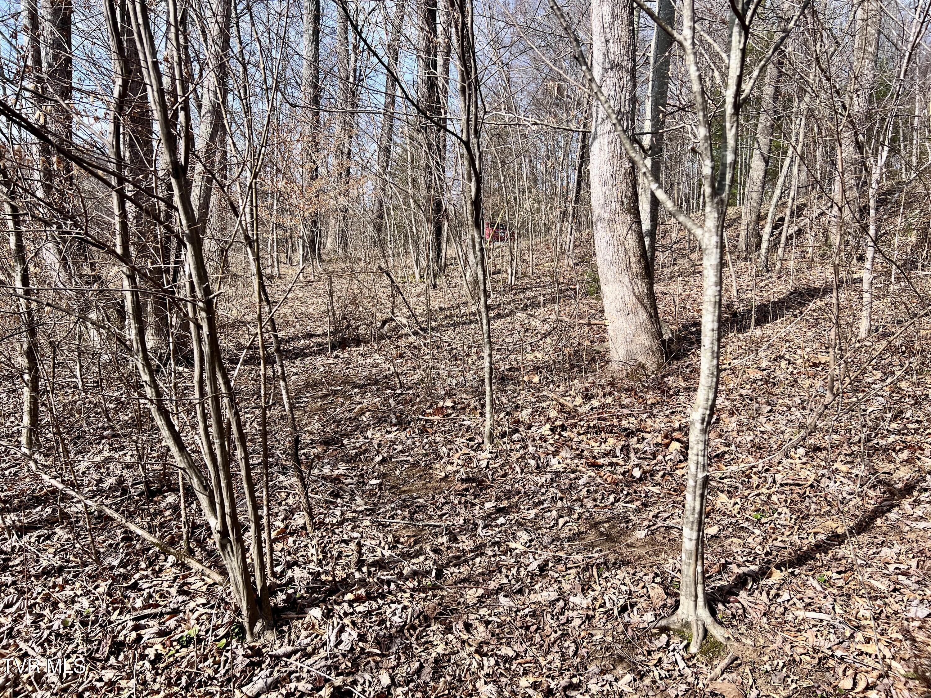0 Mc Curry Road Unicoi, TN 37692 - Photo 6 of 15 IMG_2495
