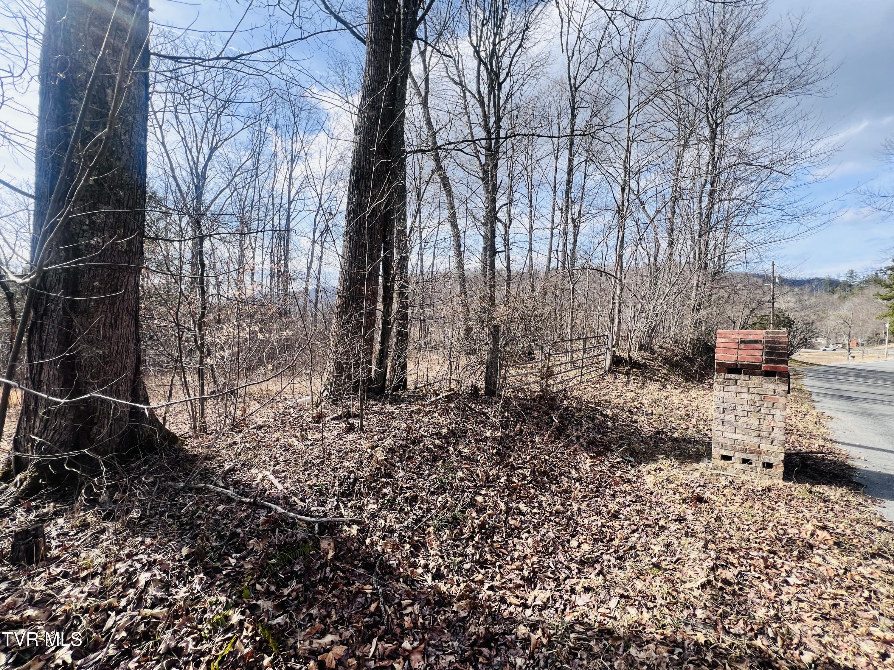 0 Mc Curry Road Unicoi, TN 37692 - Photo 7 of 15 IMG_2471