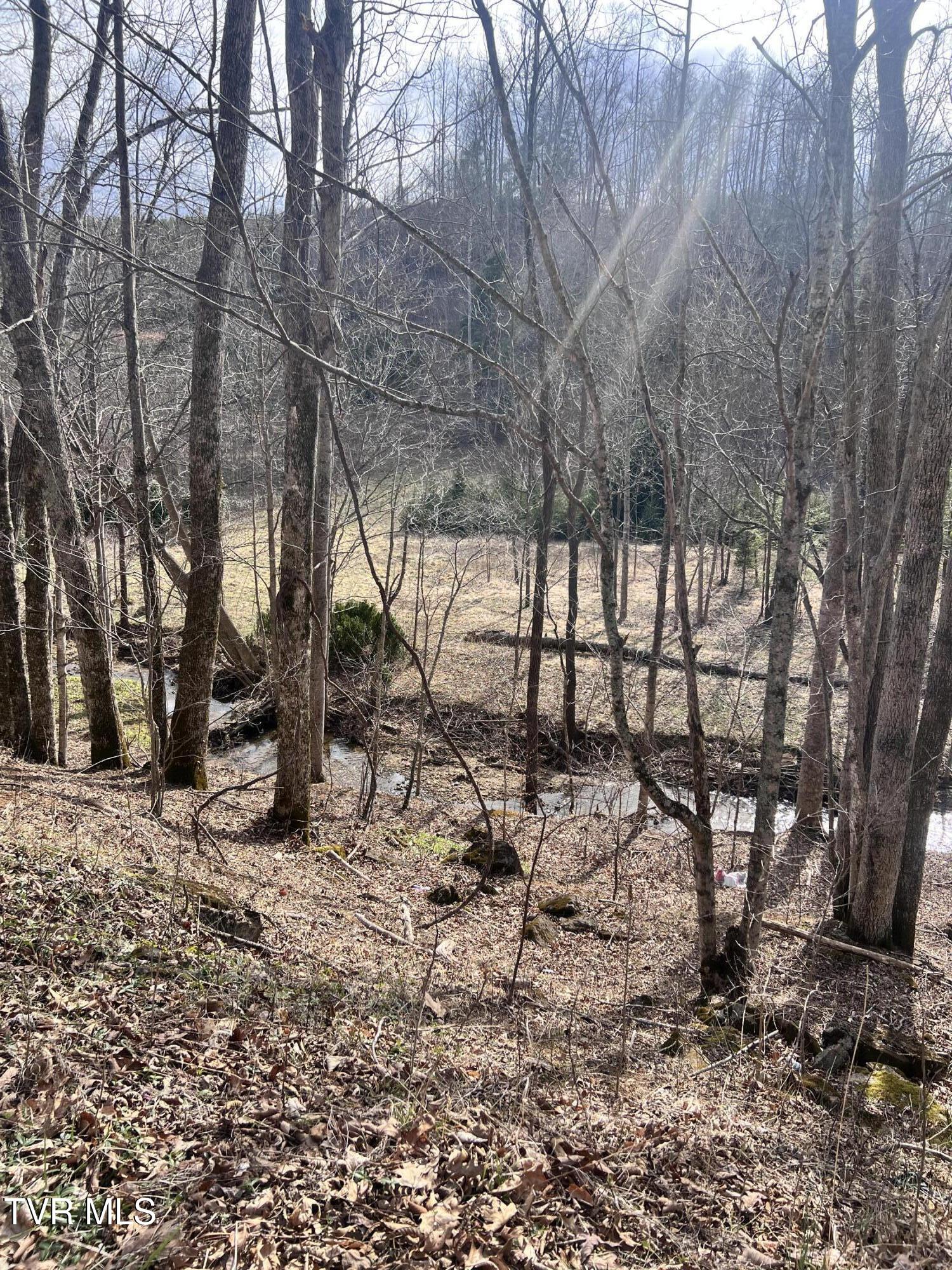 0 Mc Curry Road Unicoi, TN 37692 - Photo 8 of 15 IMG_2457