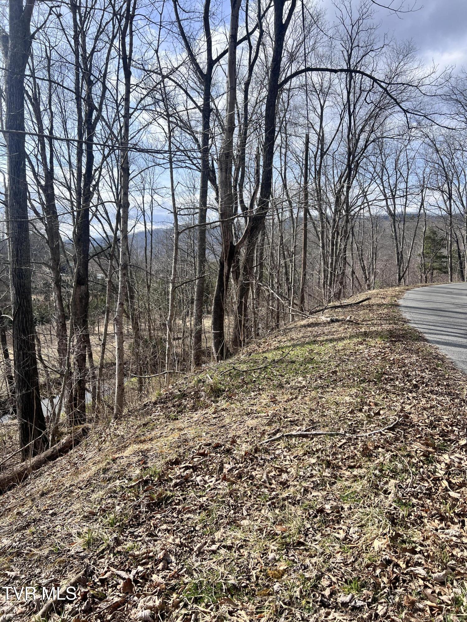 0 Mc Curry Road Unicoi, TN 37692 - Photo 10 of 15 IMG_2463