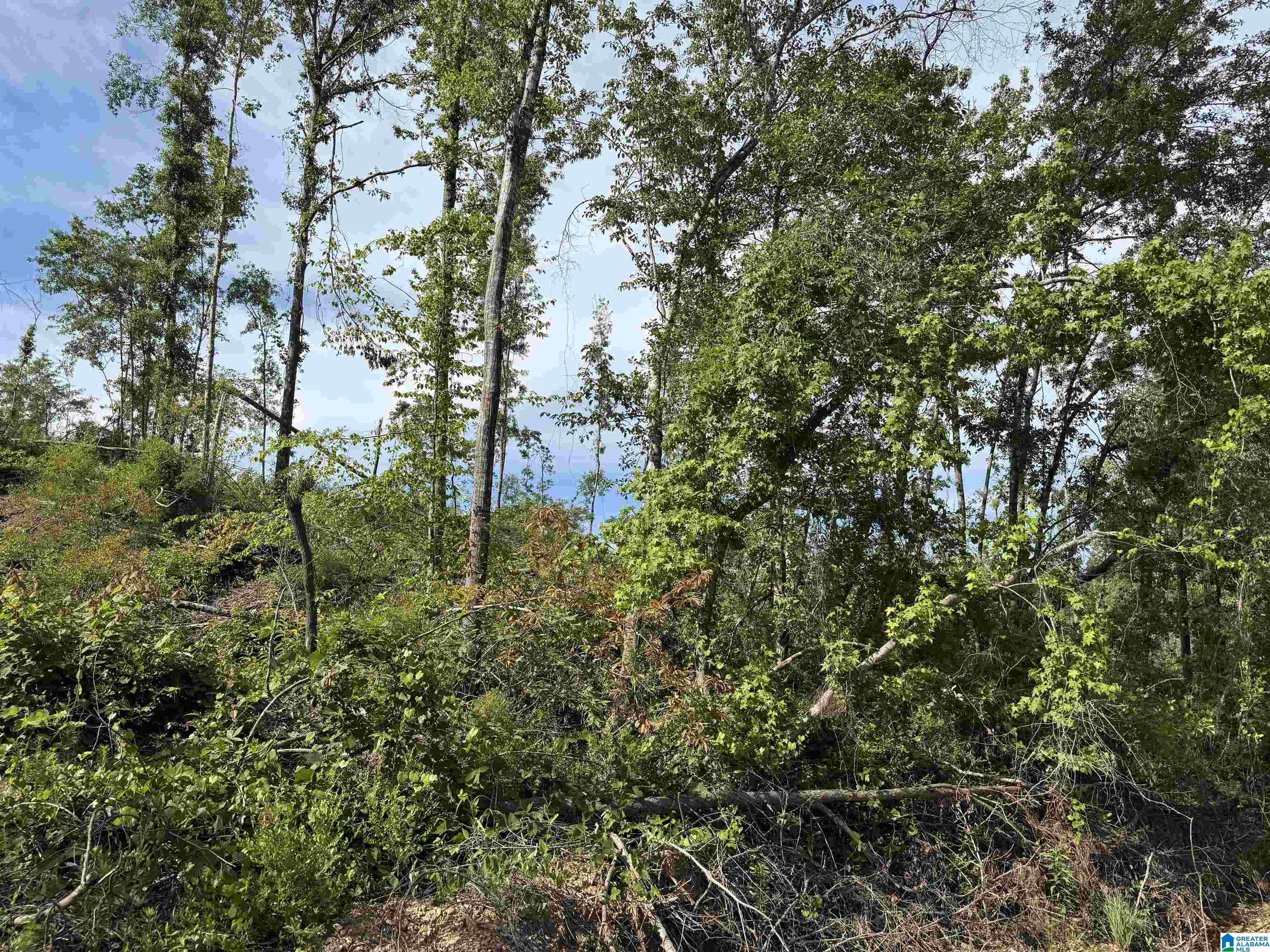 Active Road, Unit 5 Lawley, AL 36793 - Photo 28 of 38