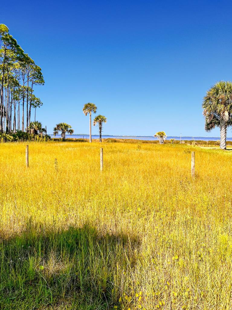 Lot 14 Sand Bar Rd Port Street Port St. Joe, FL 32456 - Photo 2 of 14