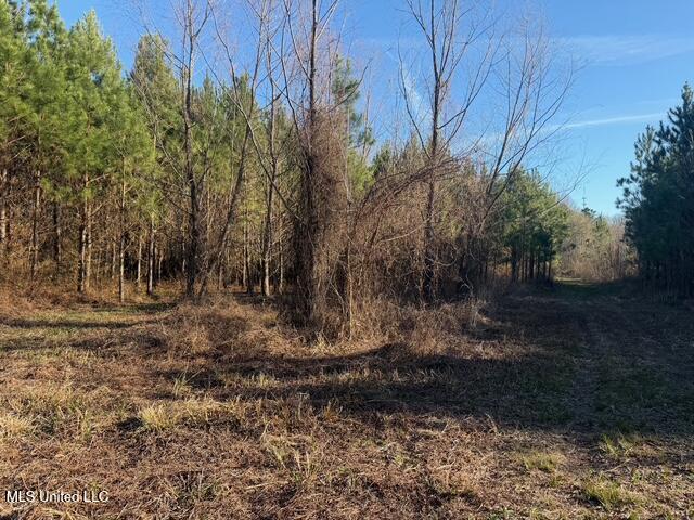 Raymond Road Jackson, MS 39212 - Photo 11 of 86 IMG_1015