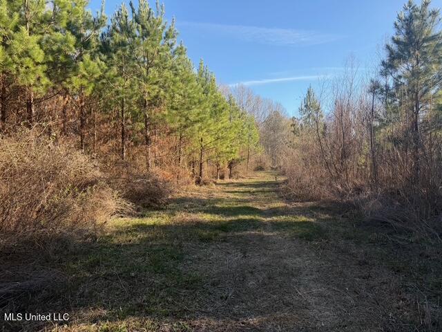 Raymond Road Jackson, MS 39212 - Photo 13 of 86 IMG_1017