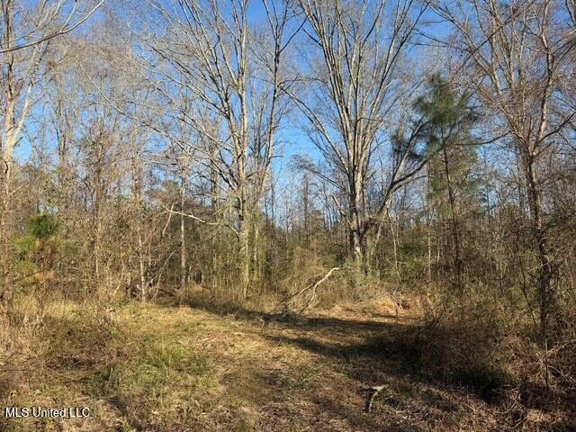 Raymond Road Jackson, MS 39212 - Photo 14 of 86 IMG_1018