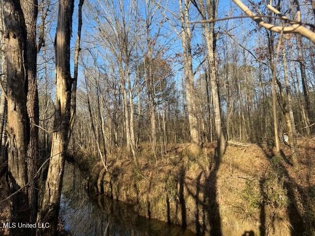 Raymond Road Jackson, MS 39212 - Photo 17 of 86 IMG_1021