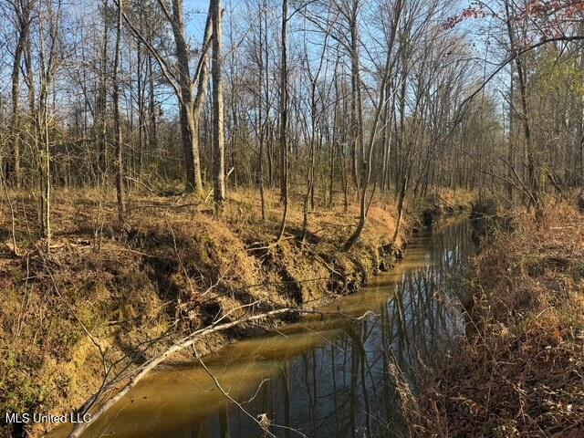 Raymond Road Jackson, MS 39212 - Photo 18 of 86 IMG_1022