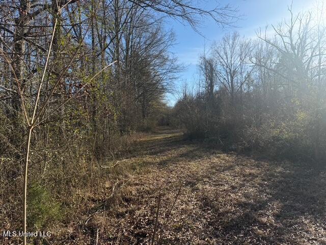 Raymond Road Jackson, MS 39212 - Photo 20 of 86 IMG_1024