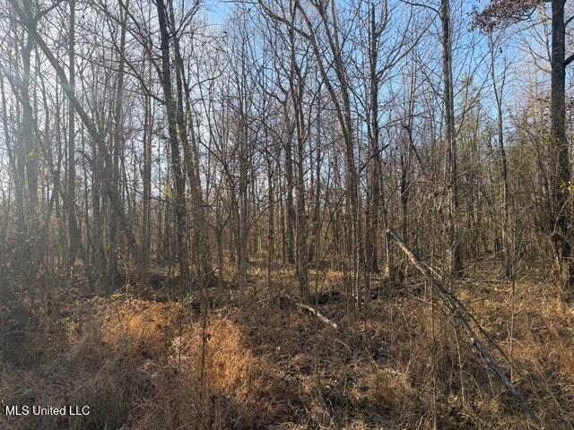 Raymond Road Jackson, MS 39212 - Photo 26 of 86 IMG_1030