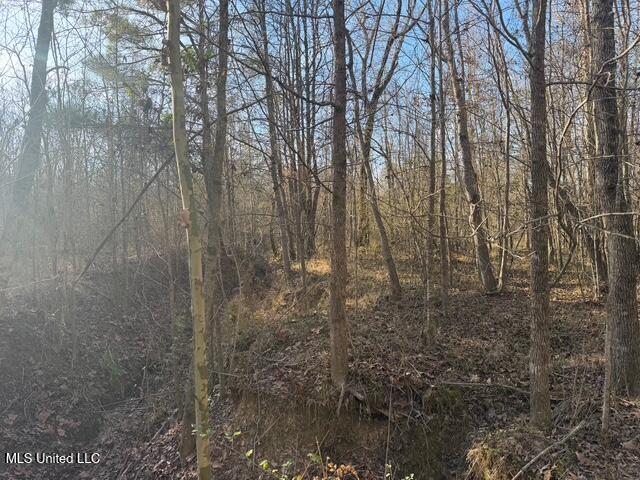 Raymond Road Jackson, MS 39212 - Photo 29 of 86 IMG_1033