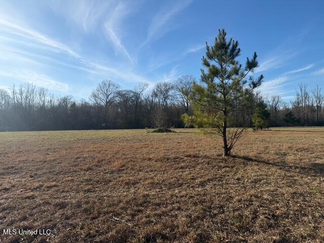 Raymond Road Jackson, MS 39212 - Photo 35 of 86 IMG_1039