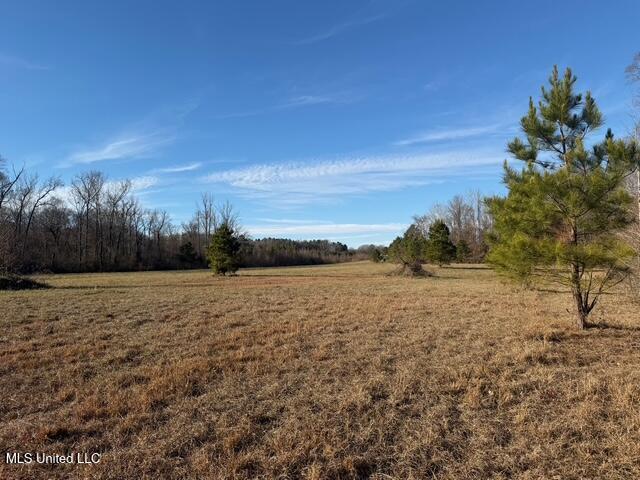 Raymond Road Jackson, MS 39212 - Photo 37 of 86 IMG_1041