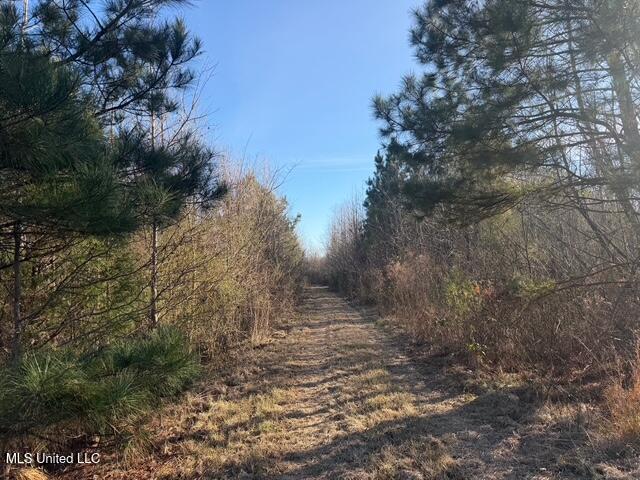 Raymond Road Jackson, MS 39212 - Photo 40 of 86 IMG_1044