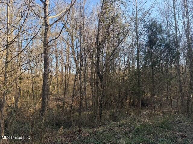 Raymond Road Jackson, MS 39212 - Photo 42 of 86 IMG_1046