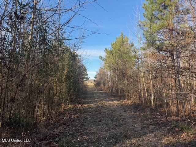 Raymond Road Jackson, MS 39212 - Photo 44 of 86 IMG_1048