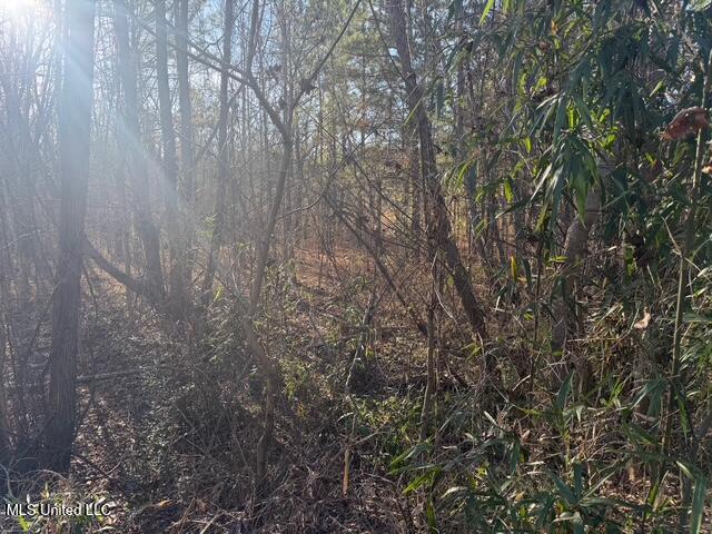 Raymond Road Jackson, MS 39212 - Photo 45 of 86 IMG_1049