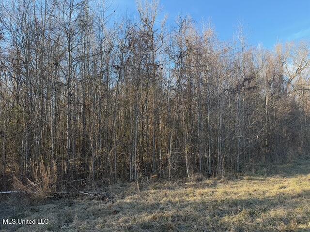 Raymond Road Jackson, MS 39212 - Photo 48 of 86 IMG_1052