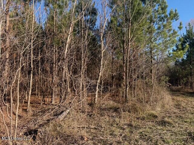 Raymond Road Jackson, MS 39212 - Photo 5 of 86 IMG_1009