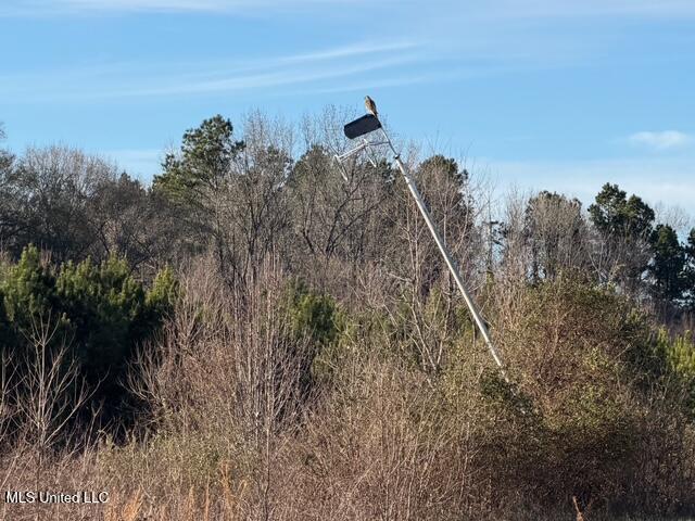 Raymond Road Jackson, MS 39212 - Photo 53 of 86 IMG_1058