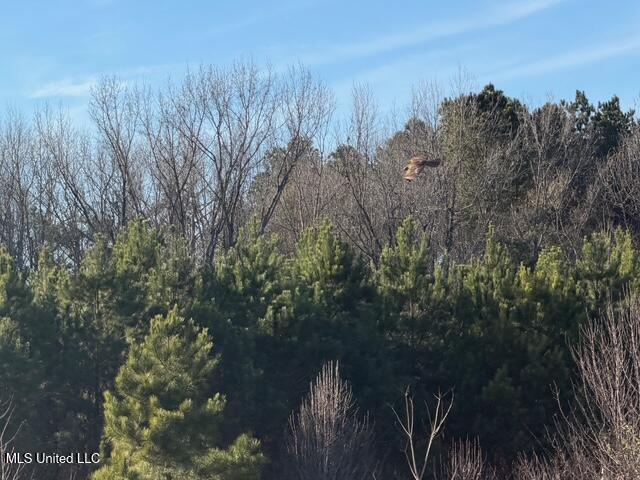 Raymond Road Jackson, MS 39212 - Photo 54 of 86 IMG_1059