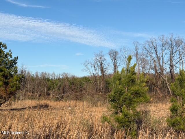 Raymond Road Jackson, MS 39212 - Photo 55 of 86 IMG_1060