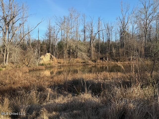 Raymond Road Jackson, MS 39212 - Photo 60 of 86 IMG_1065