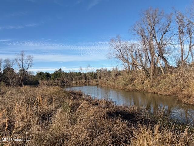 Raymond Road Jackson, MS 39212 - Photo 66 of 86 IMG_1071