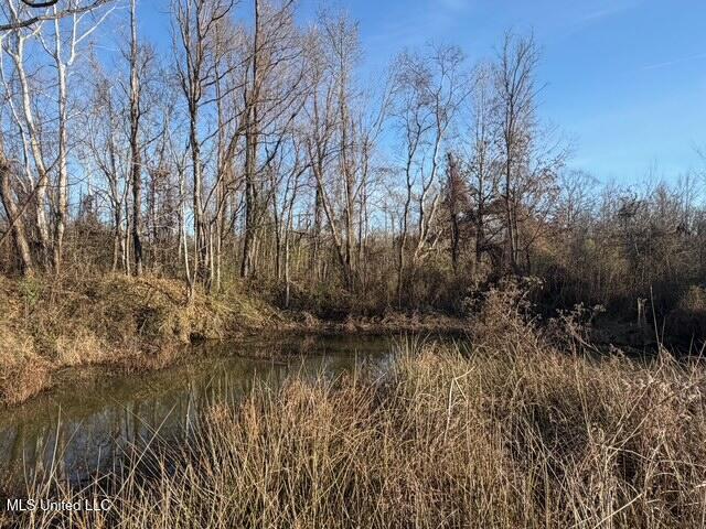 Raymond Road Jackson, MS 39212 - Photo 67 of 86 IMG_1072