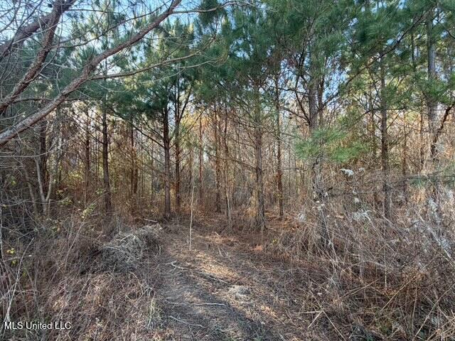 Raymond Road Jackson, MS 39212 - Photo 69 of 86 IMG_1075