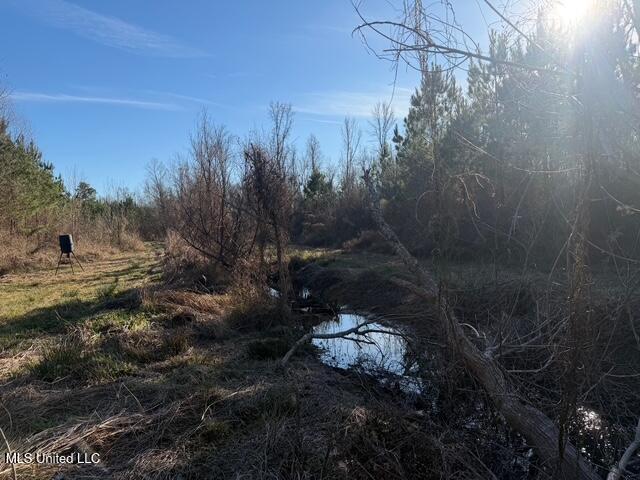 Raymond Road Jackson, MS 39212 - Photo 7 of 86 IMG_1011