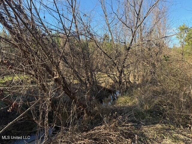 Raymond Road Jackson, MS 39212 - Photo 8 of 86 IMG_1012