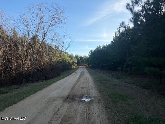 Raymond Road Jackson, MS 39212 - Photo 84 of 86 IMG_1093