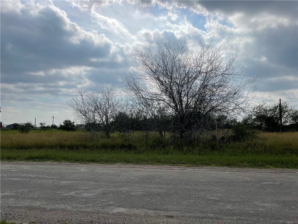 2 Jennifer Orange Grove, TX 78372 - Photo 7 of 7 a view of a yard