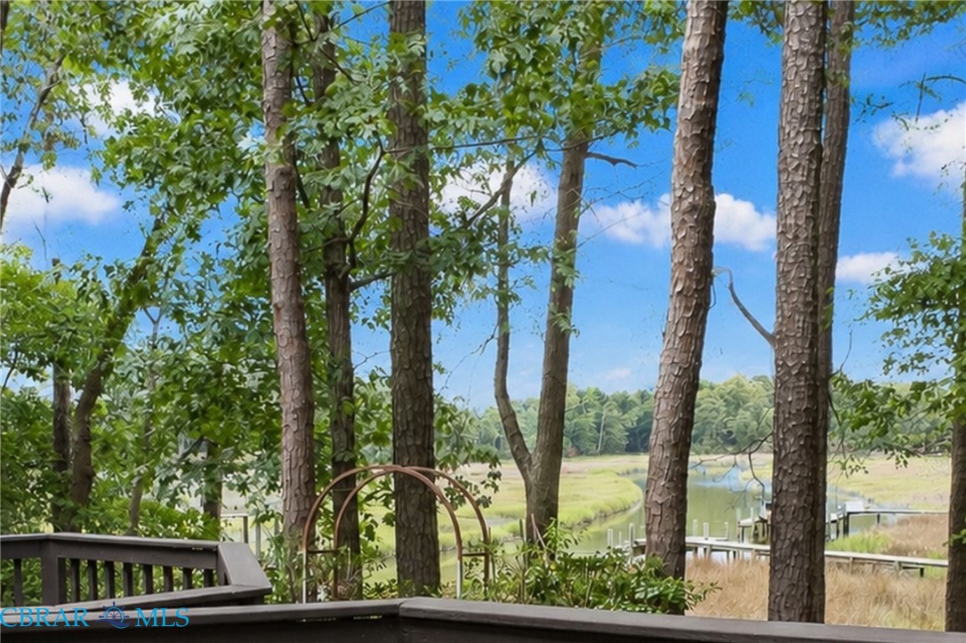 20582 Seahawk Landing Smithfield, VA 23430 - Photo 3 of 43