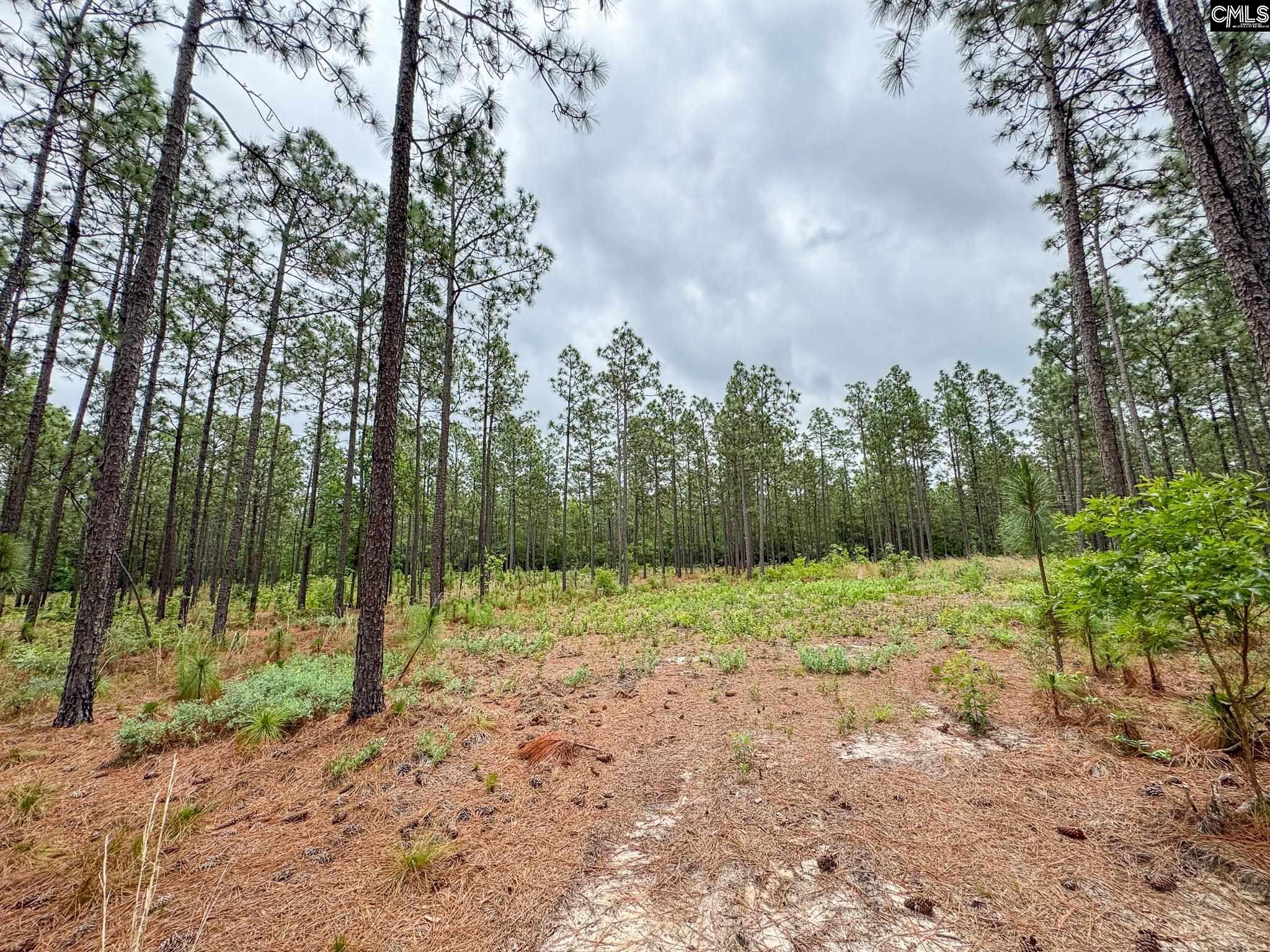 0 Neely Wingard Road, Unit LOT 3 Leesville, SC 29070 - Photo 3 of 7