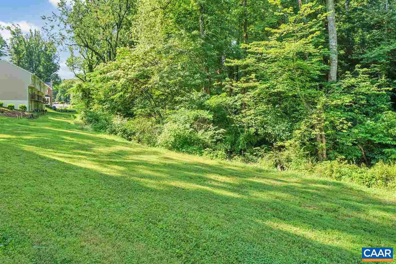 712 Rockcreek Road, Unit B Charlottesville, VA 22903 - Photo 3 of 12