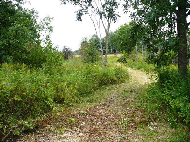 Sec 10 Hickory Road Thorp, WI 54771 - Photo 1 of 1